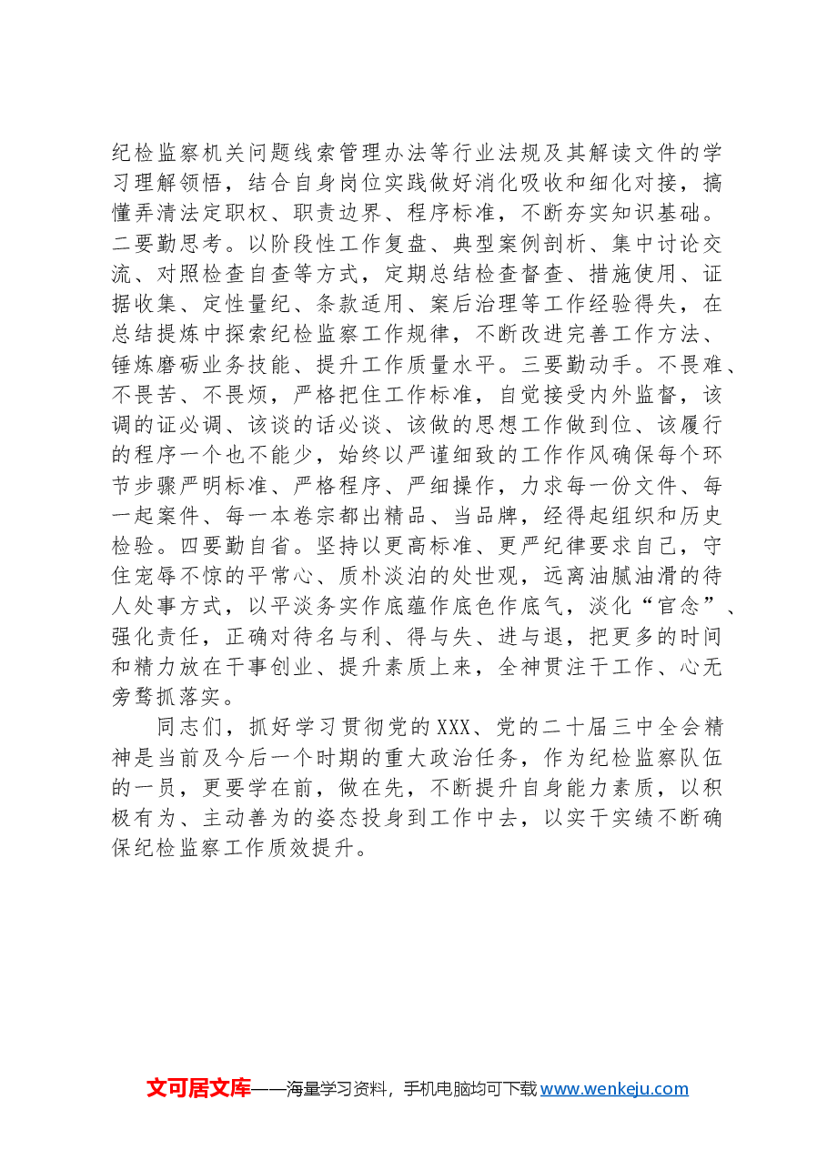 党课:努力提升纪检监察工作规范化法治化正规化水平.docx,第4页预览