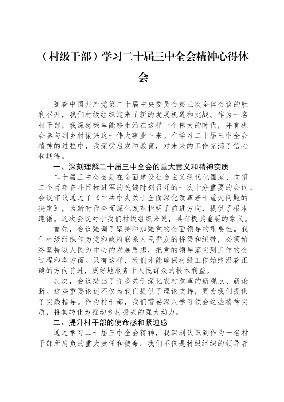 （村级干部）学习二十届三中全会精神心得体会.docx，第1页预览