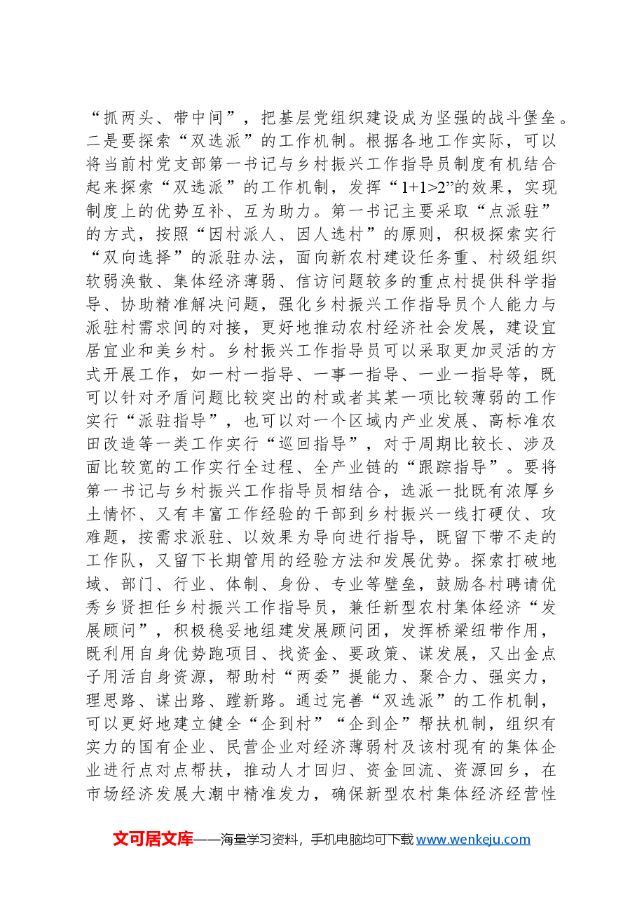 以扎实的基层党组织建设引领乡村高质量发展.docx,第3页预览