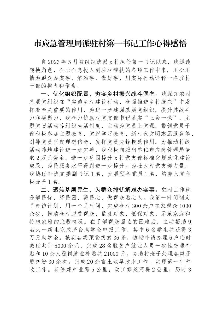 市应急管理局派驻村第一书记工作心得感悟.docx，第1页预览