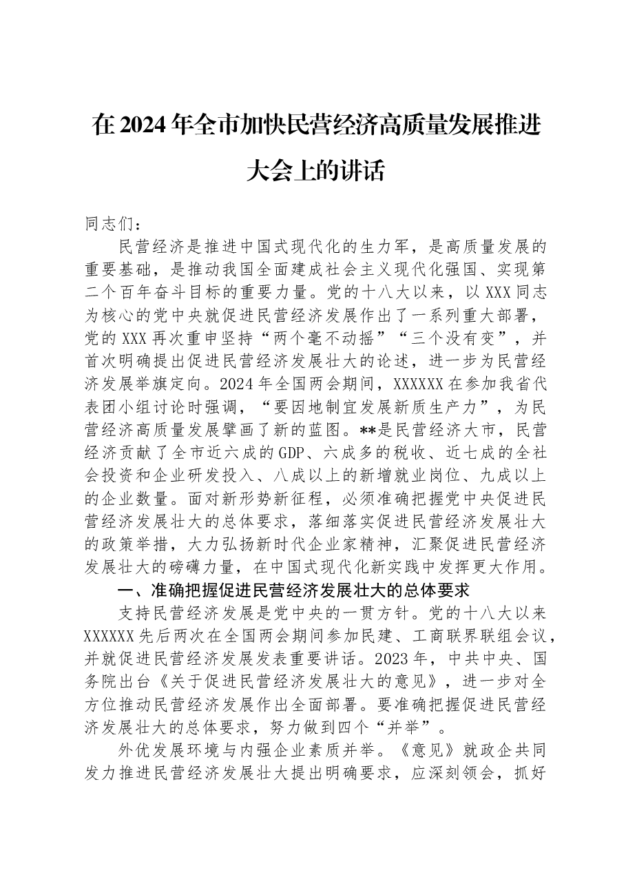 在2024年全市加快民营经济高质量发展推进大会上的讲话.docx,第1页预览