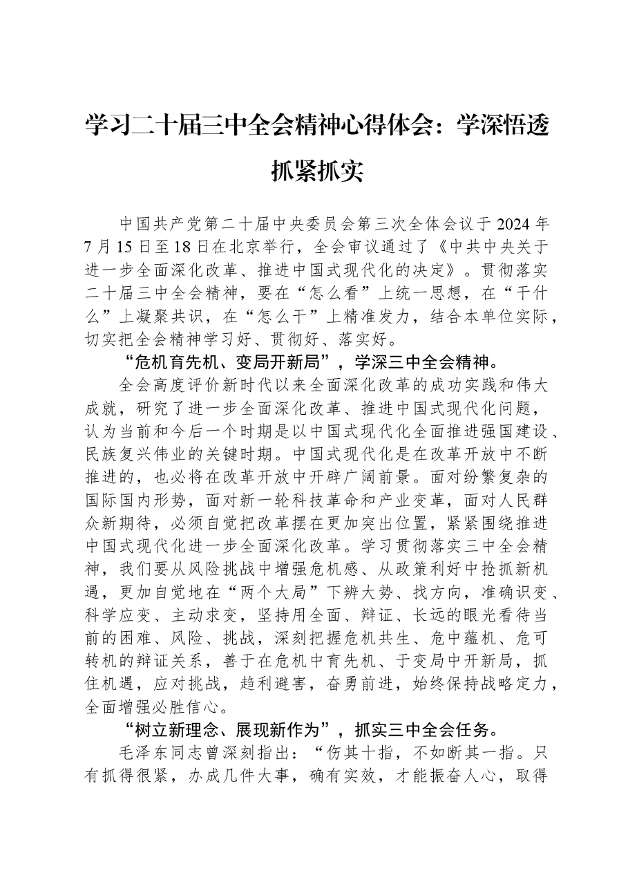 学习二十届三中全会精神心得体会:学深悟透抓紧抓实.docx,第1页预览