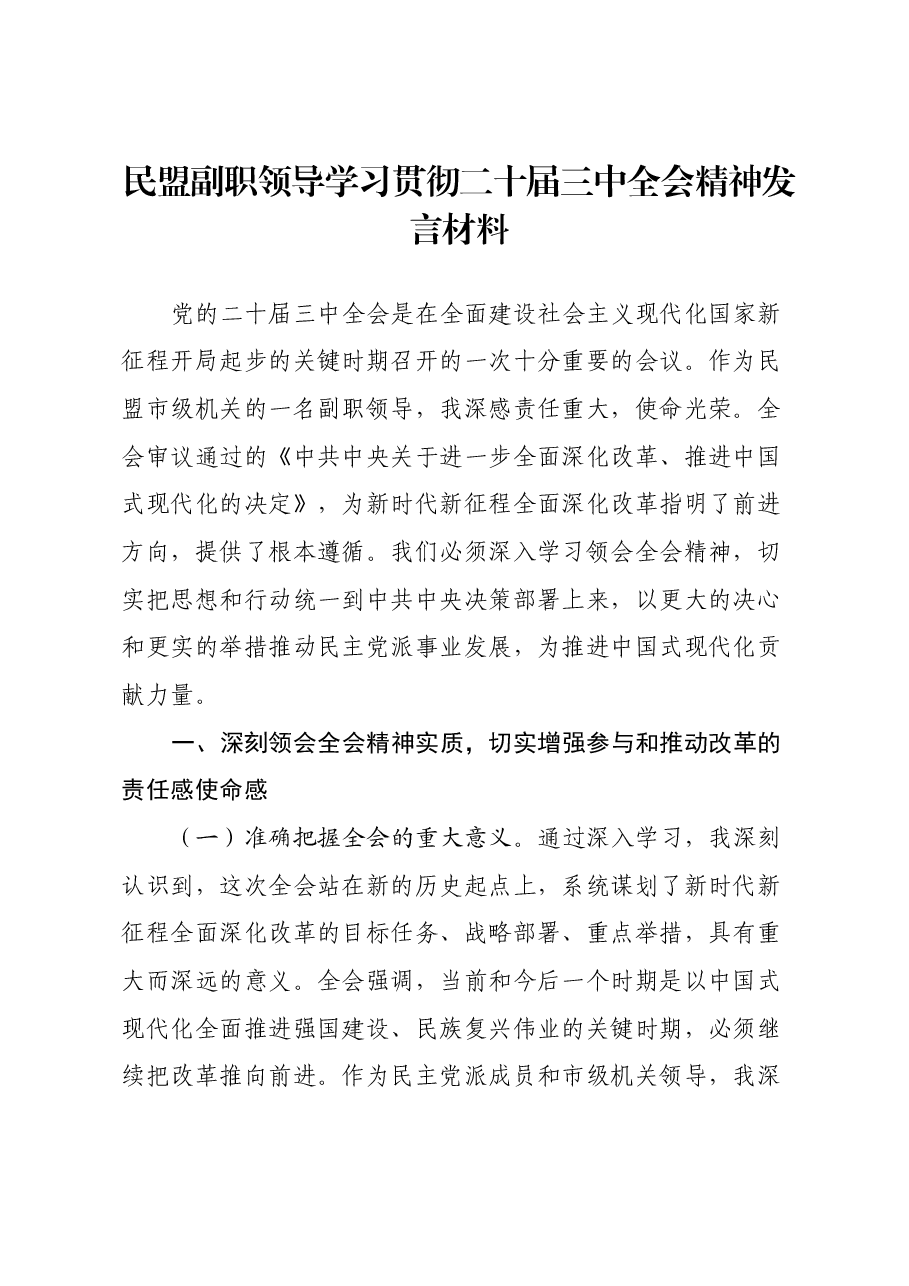 民盟副职领导学习贯彻二十届三中全会精神发言材料.docx,第1页预览