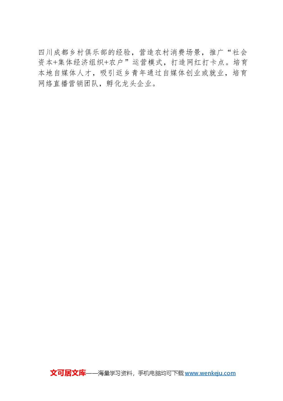 关于全市乡村全域旅游发展情况的调研报告.docx,第4页预览