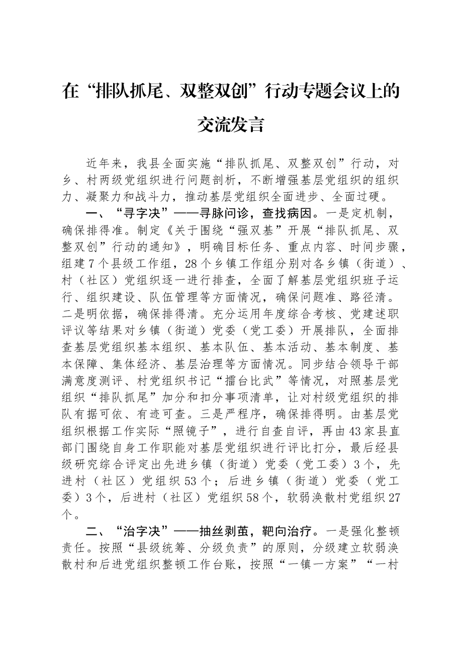 在“排队抓尾、双整双创”行动专题会议上的交流发言.docx,第1页预览