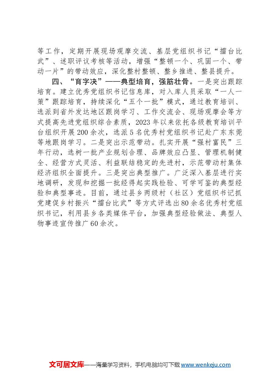 在“排队抓尾、双整双创”行动专题会议上的交流发言.docx,第3页预览