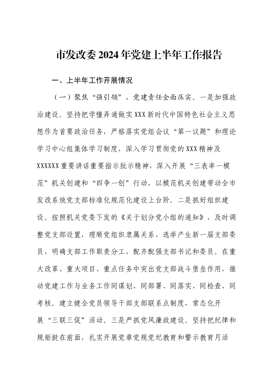 市发改委2024年党建上半年工作报告.docx,第1页预览