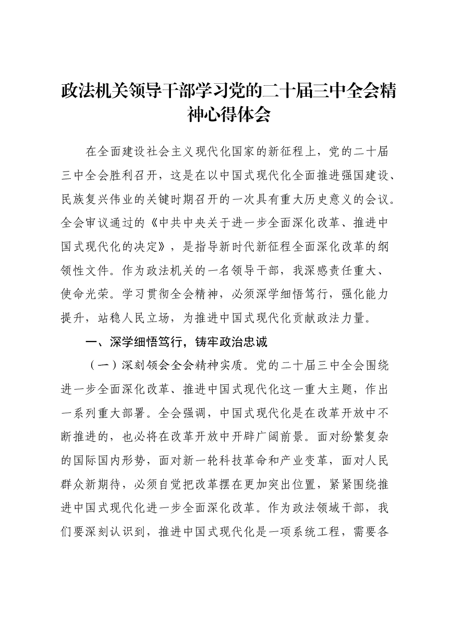 政法机关领导干部学习党的二十届三中全会精神心得体会.docx,第1页预览
