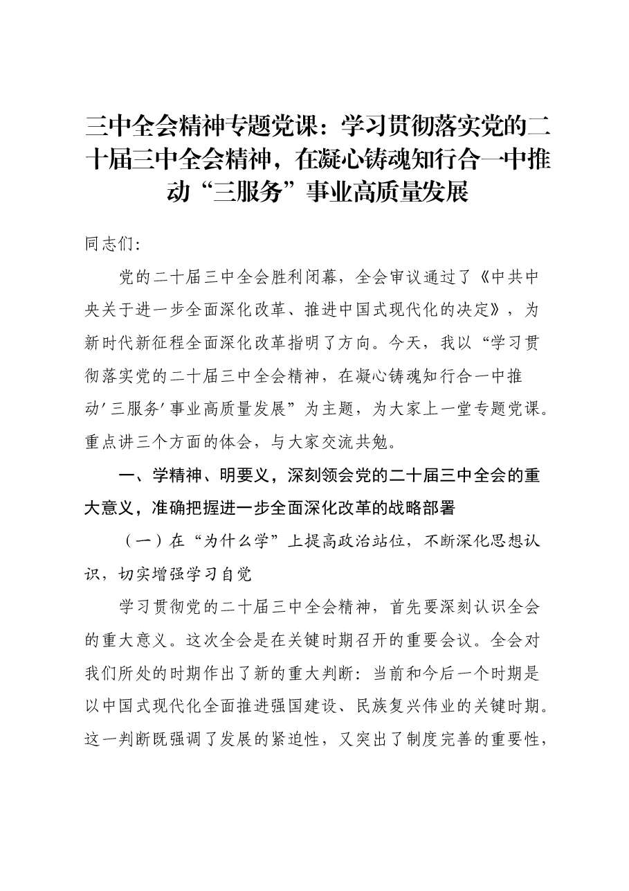 三中全会精神专题党课:学习贯彻落实党的二十届三中全会精神,在凝心铸魂知行合一中推动三服务事业高质量发展.docx,第1页预览