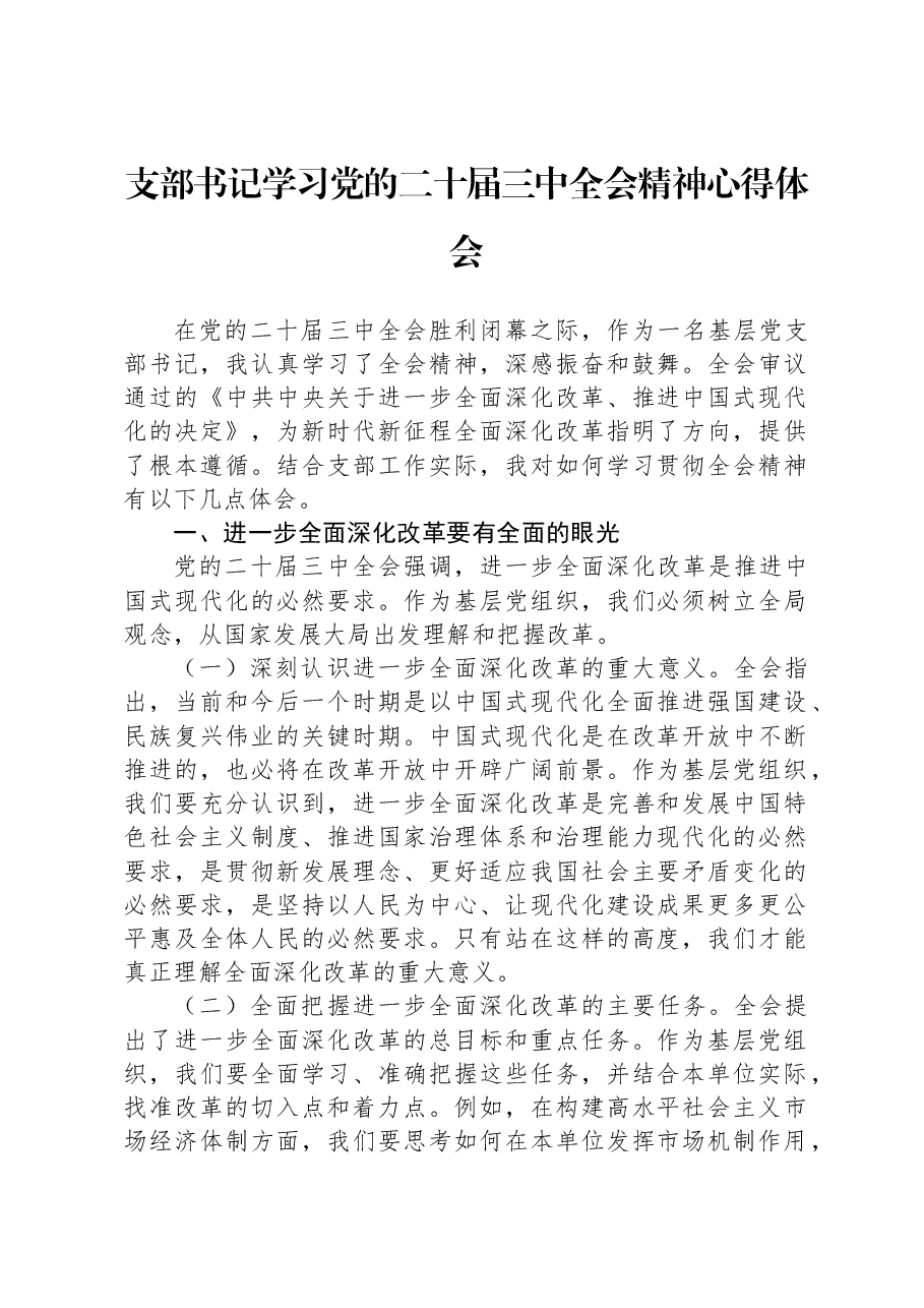 支部书记学习党的二十届三中全会精神心得体会.docx,第1页预览