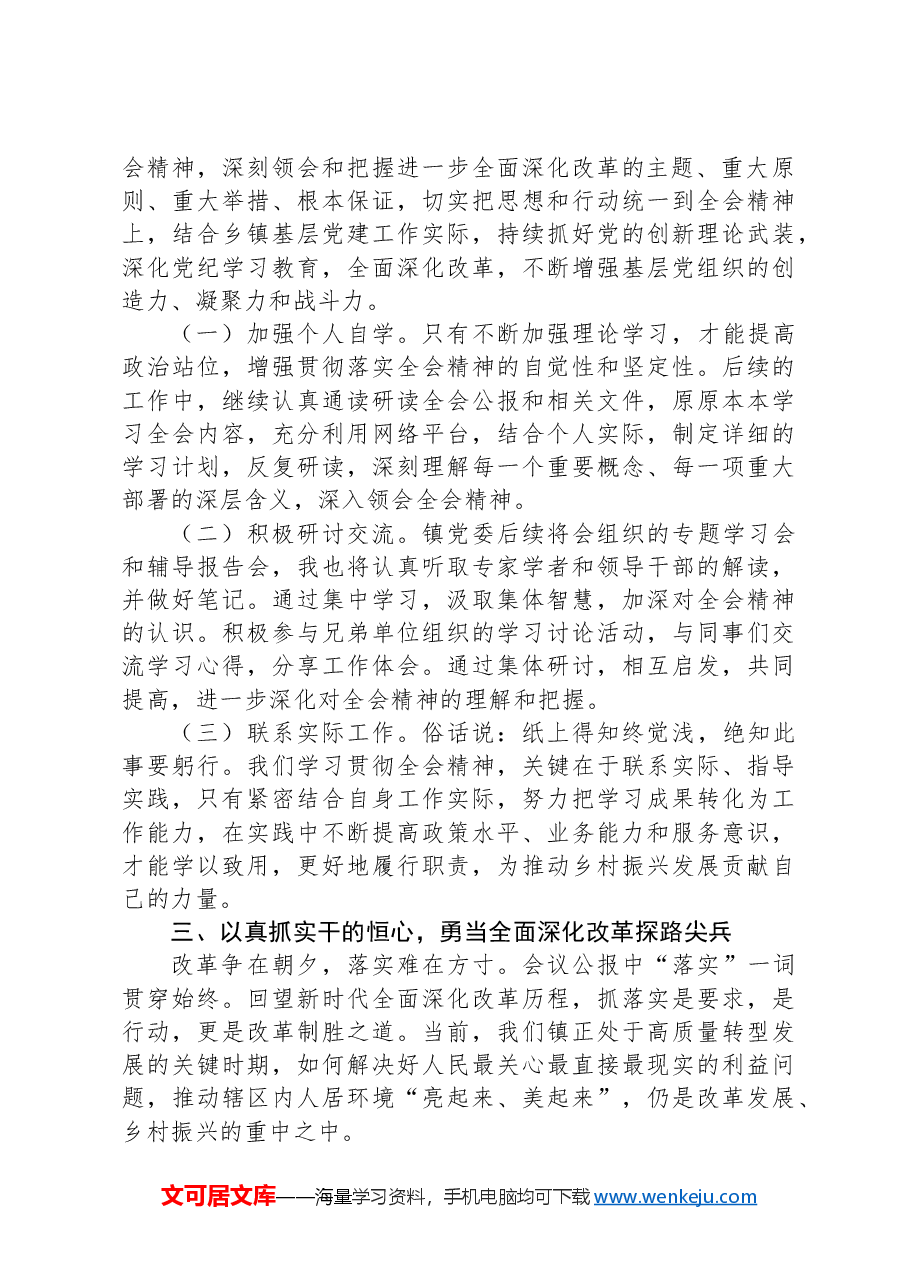 党的二十届三中全会学习心得:高举改革旗帜奋力谱写乡村振兴新篇章.docx,第3页预览