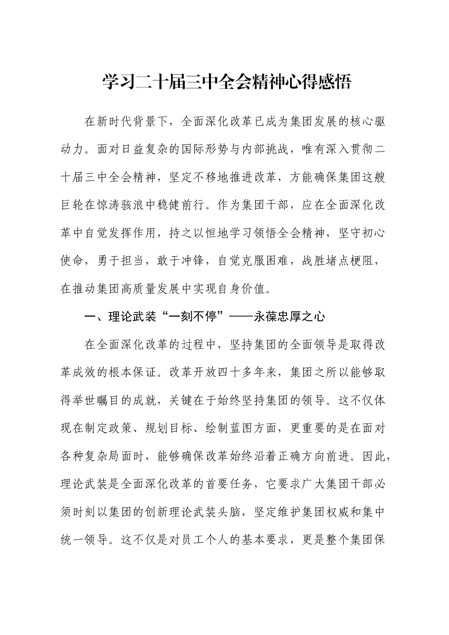 公司学习二十届三中全会精神心得体会发言.docx,第1页预览