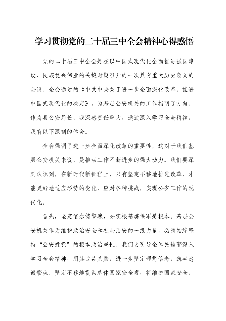 公安系统二十届三中全会精神心得体会发言.docx,第1页预览