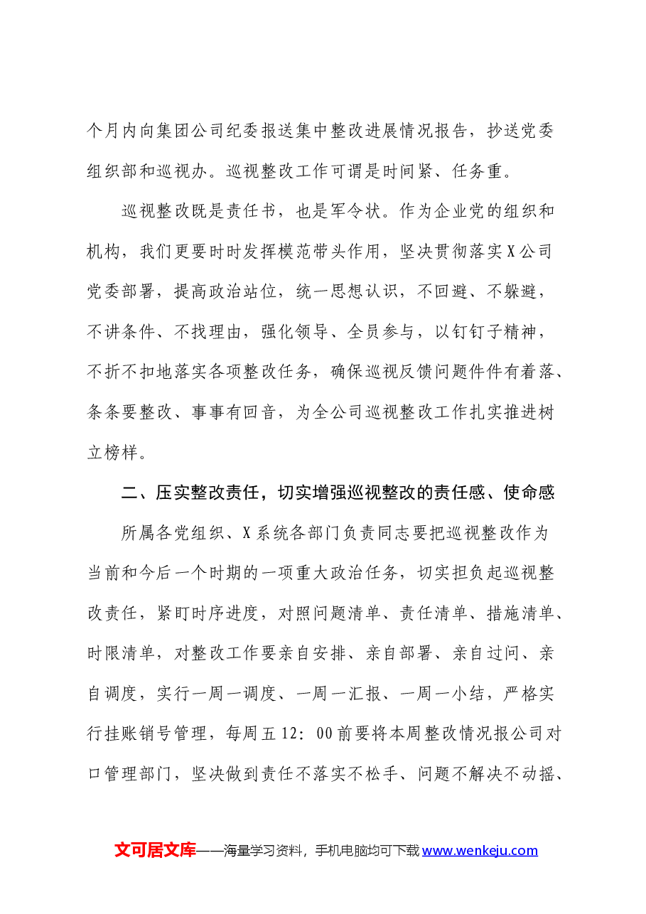 在公司上下联动开展巡视整改推进会上的讲话(巡察).docx,第2页预览
