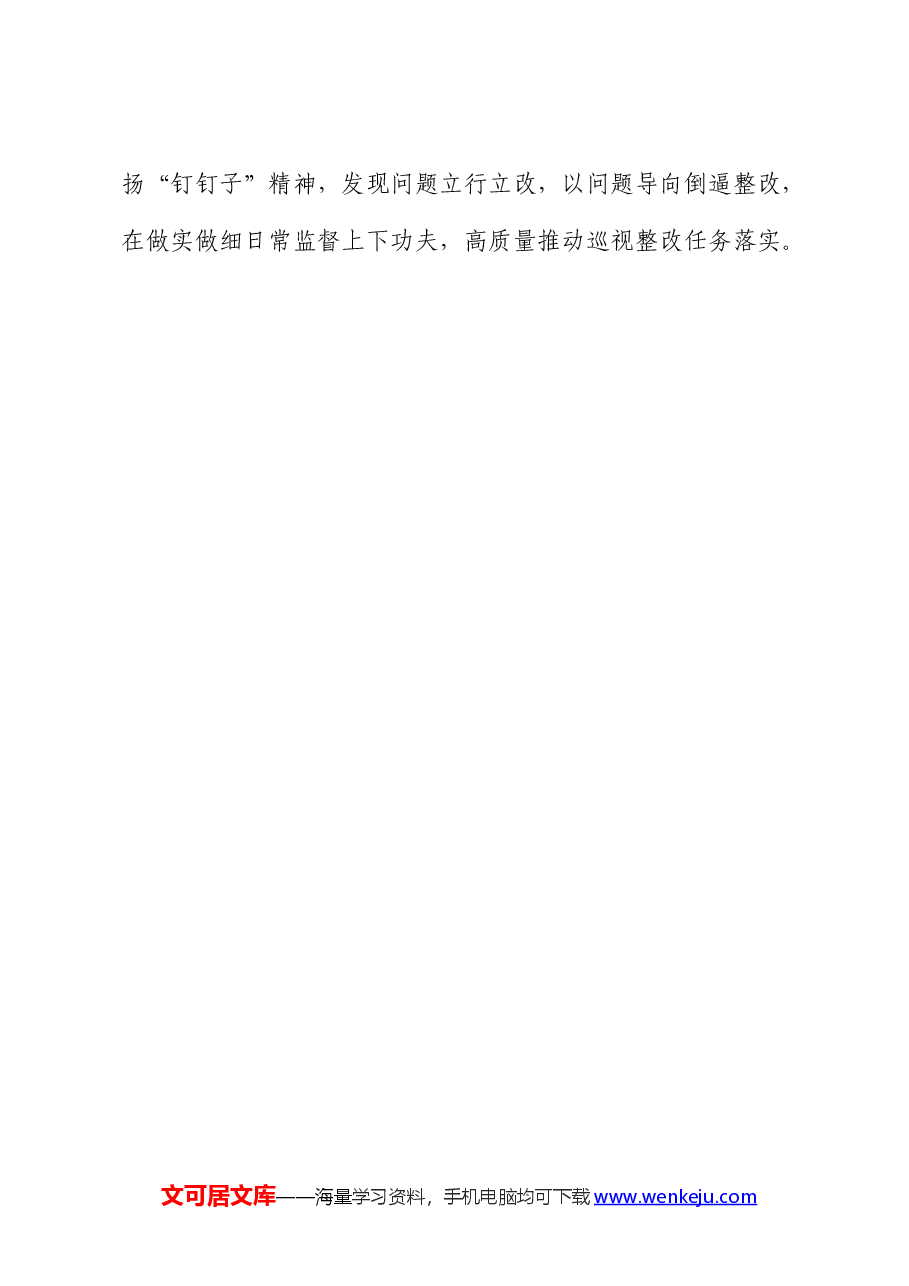研讨发言:巡视整改要件件有着落事事有回音.docx,第4页预览