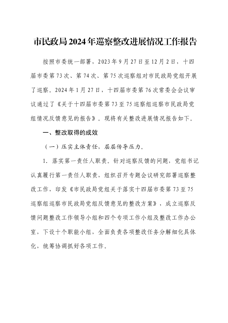 市民政局2024年巡察整改进展情况工作报告.docx,第1页预览