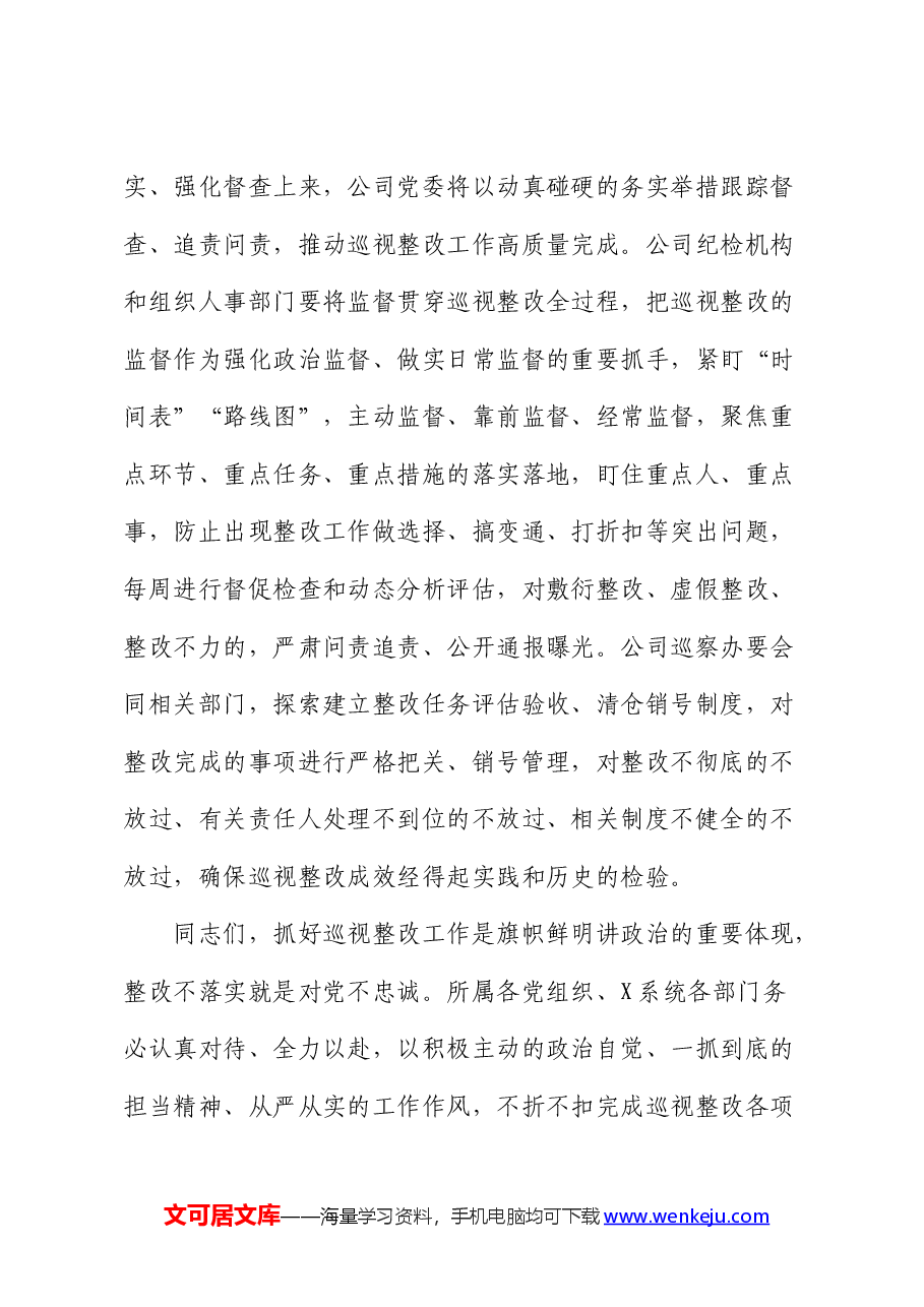 在公司上下联动开展巡视整改推进会上的讲话(巡察).docx,第4页预览