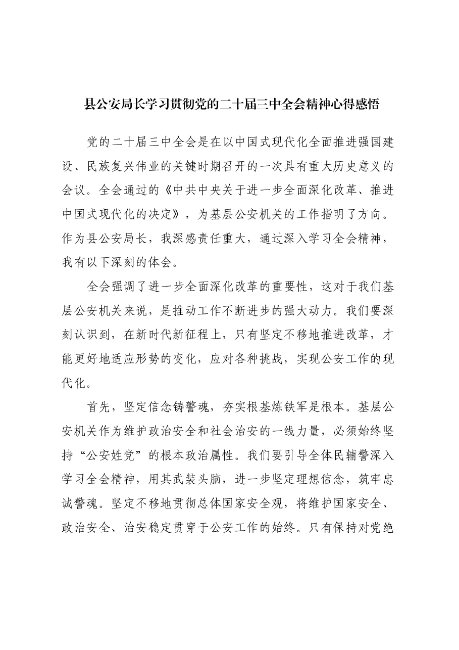 县公安局长学习贯彻党的二十届三中全会精神心得感悟.docx,第1页预览