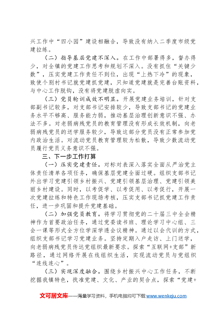 2024年上半年党委书记抓基层党建工作述职报告.docx，第3页预览