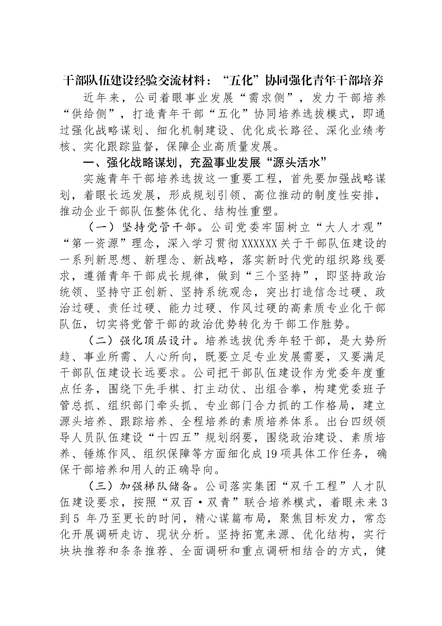 干部队伍建设经验交流材料：“五化”协同强化青年干部培养.docx，第1页预览