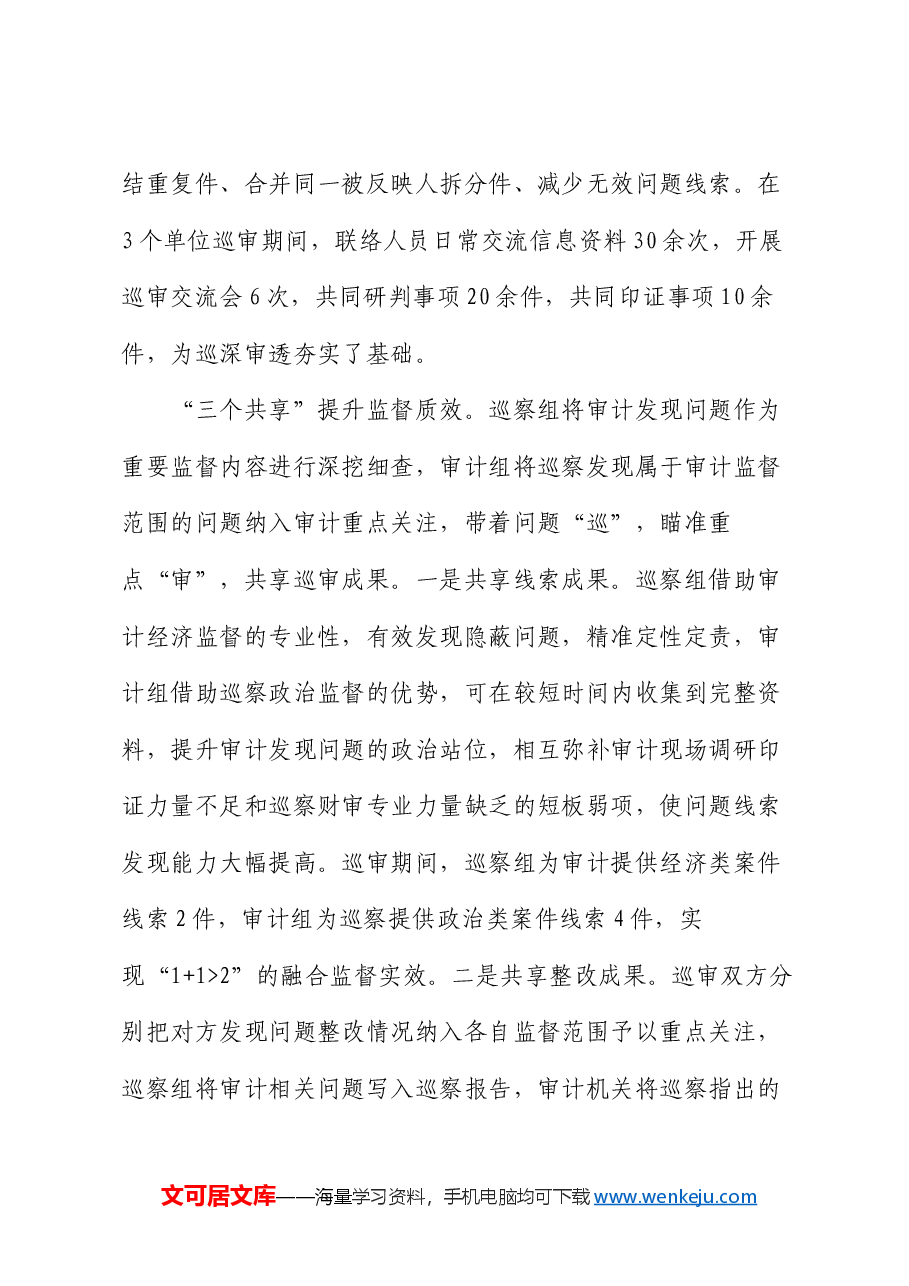 在2024年全市巡察工作经验交流会上的发言.docx,第4页预览