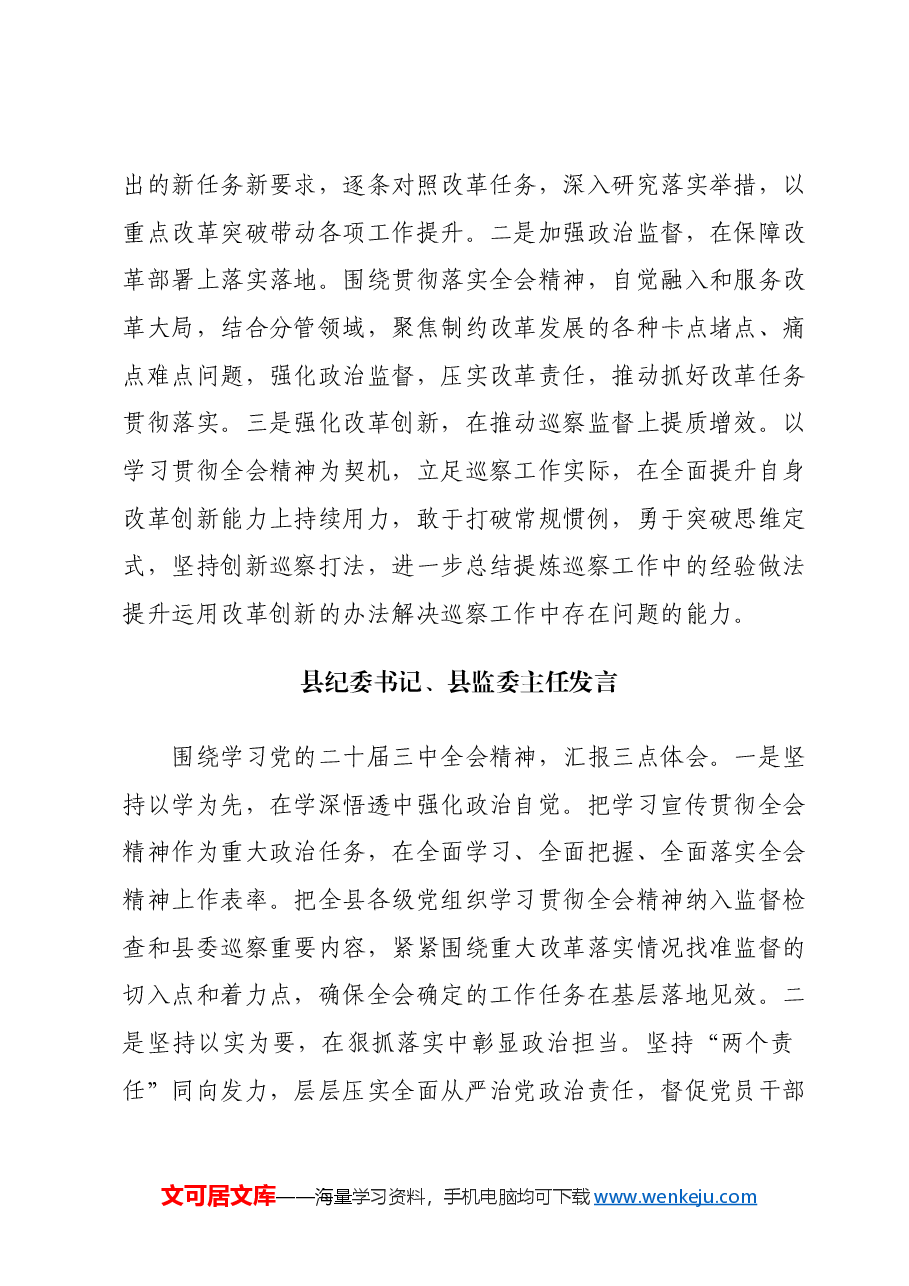 市纪委理论学习中心组交流发言汇编(二十届三中全会).docx,第4页预览