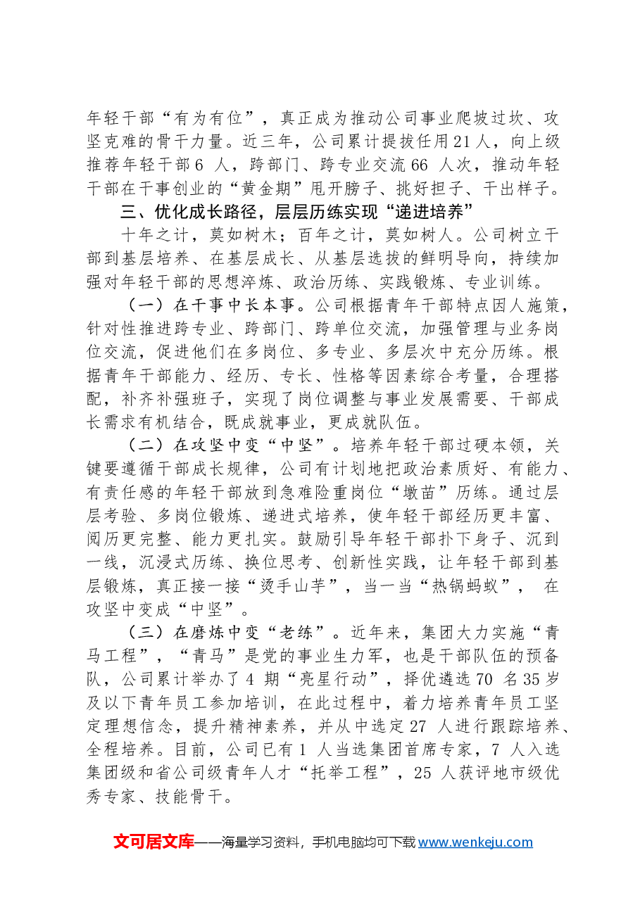 干部队伍建设经验交流材料：“五化”协同强化青年干部培养.docx，第3页预览
