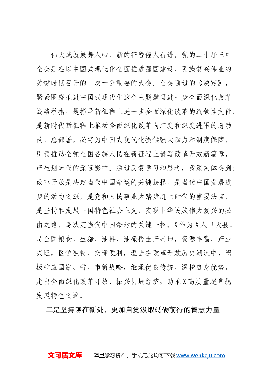 市人大常委会副主任在党的二十届三中全会精神专题学习会上的交流发言.docx，第2页预览