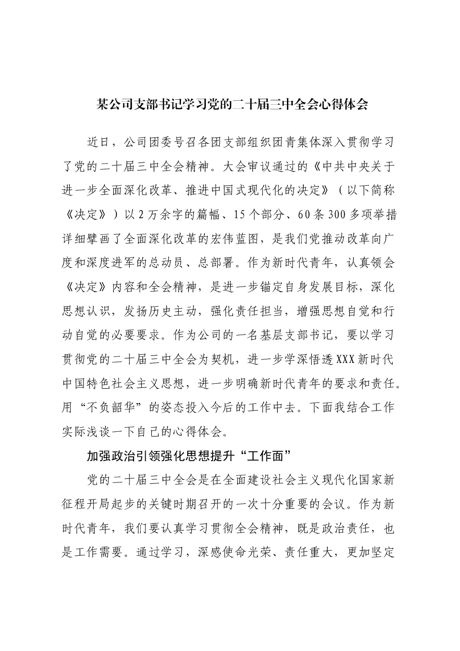 某公司支部书记学习党的二十届三中全会心得体会.docx,第1页预览