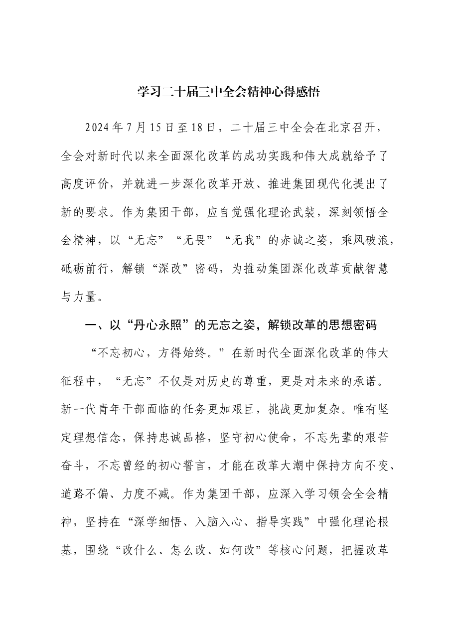 学习二十届三中全会精神心得感悟.docx,第1页预览