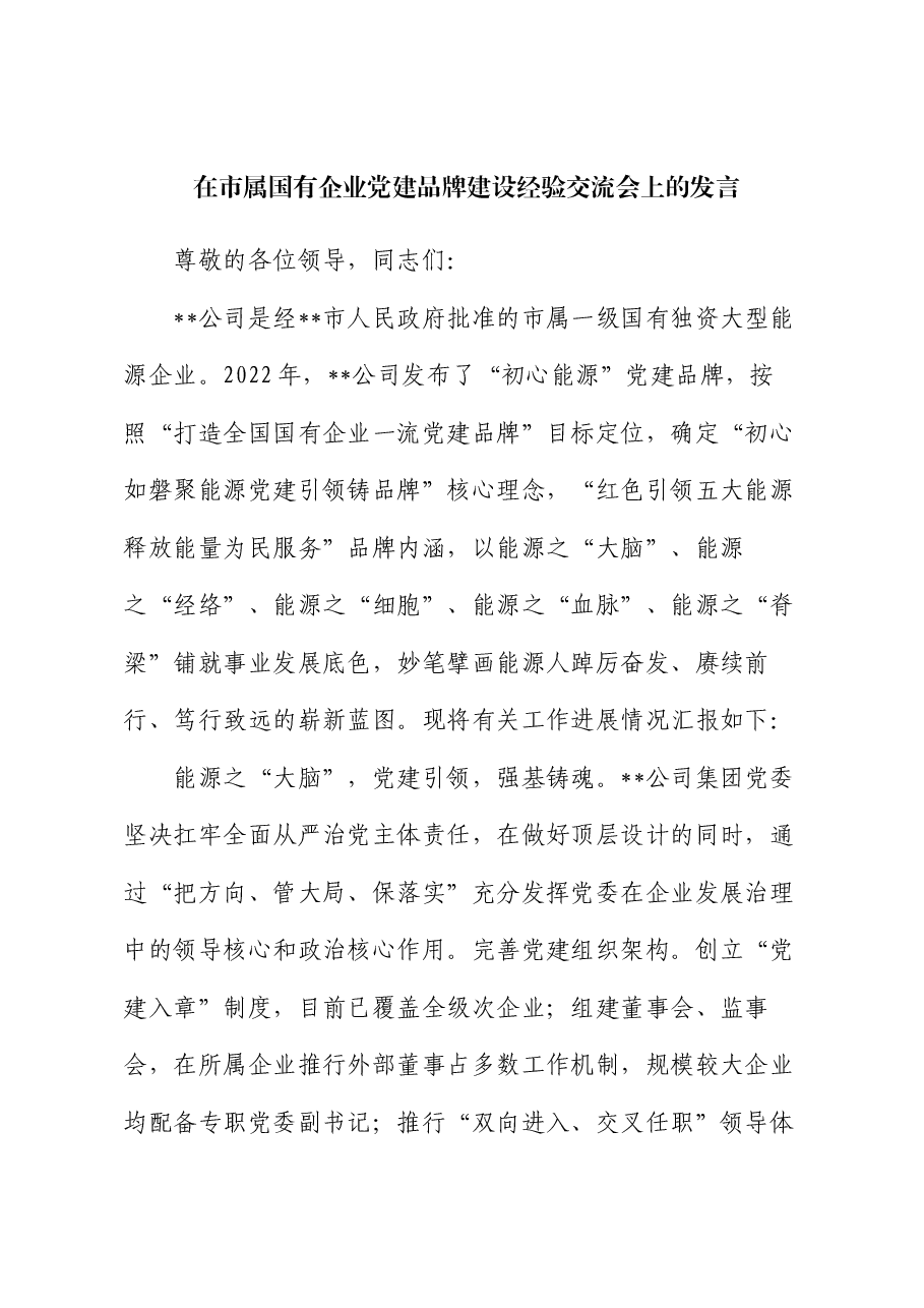 在市属国有企业党建品牌建设经验交流会上的发言.docx,第1页预览