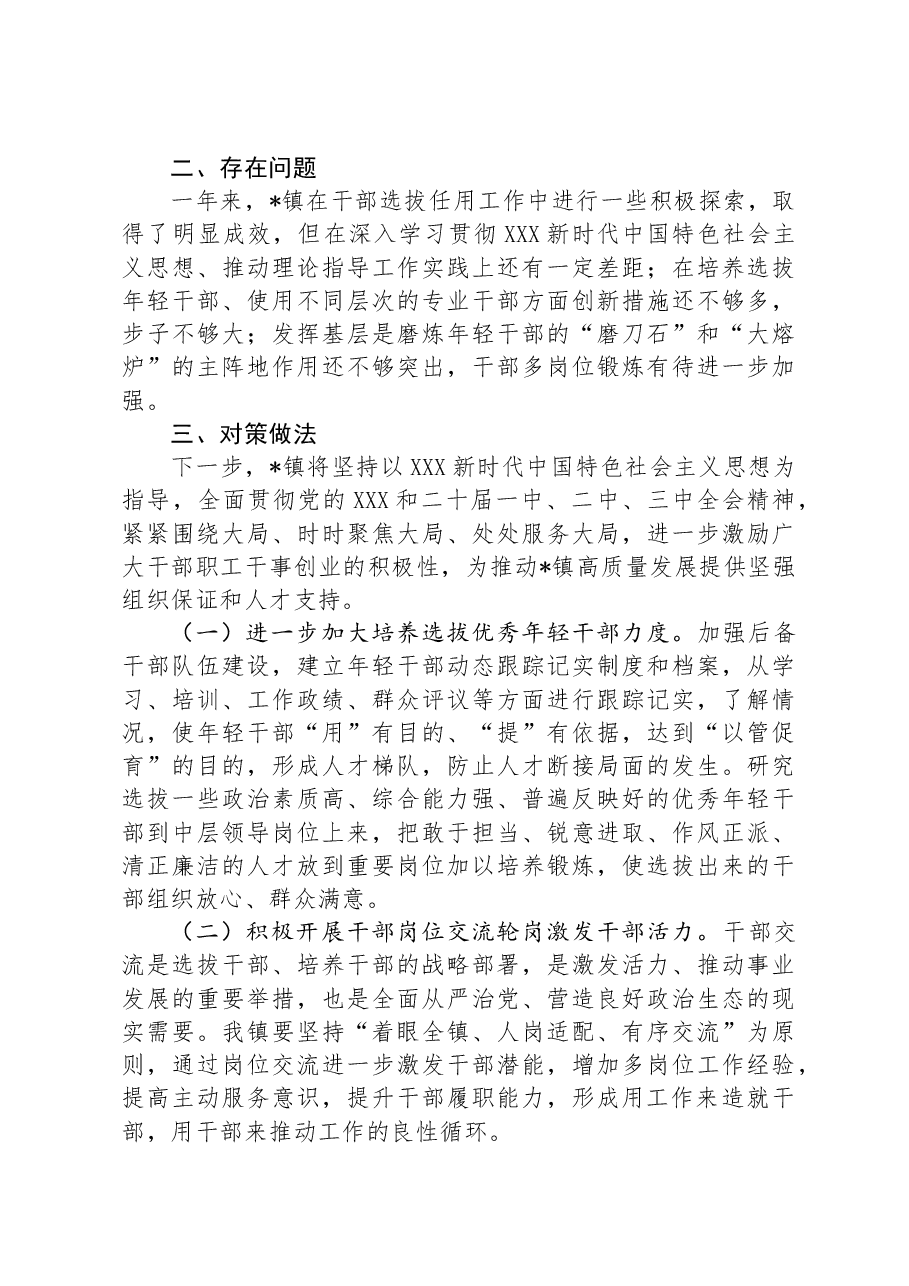 镇党委关于干部选拔任用工作情况的报告.docx，第4页预览