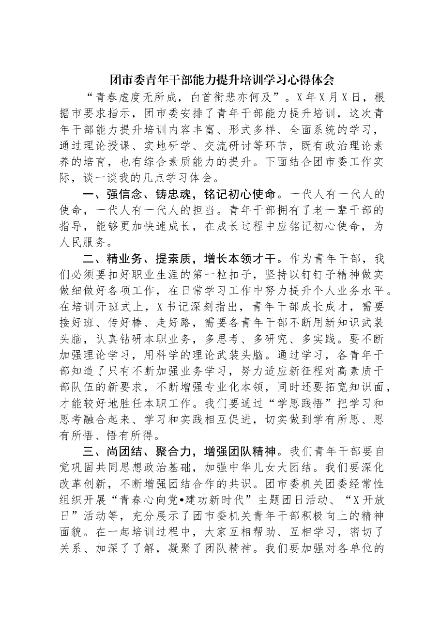 团市委青年干部能力提升培训学习心得体会.docx,第1页预览