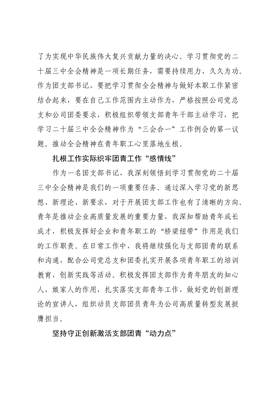 某公司支部书记学习党的二十届三中全会心得体会.docx,第2页预览