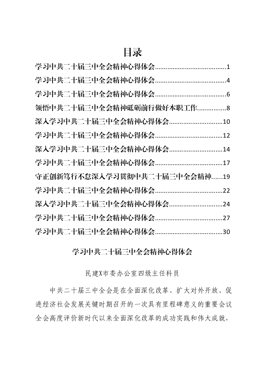 (13篇)某市民建学习二十届三中全会精神心得体会汇编.docx,第1页预览