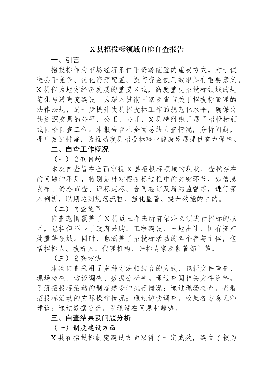 X县招投标领域自检自查报告.docx,第1页预览