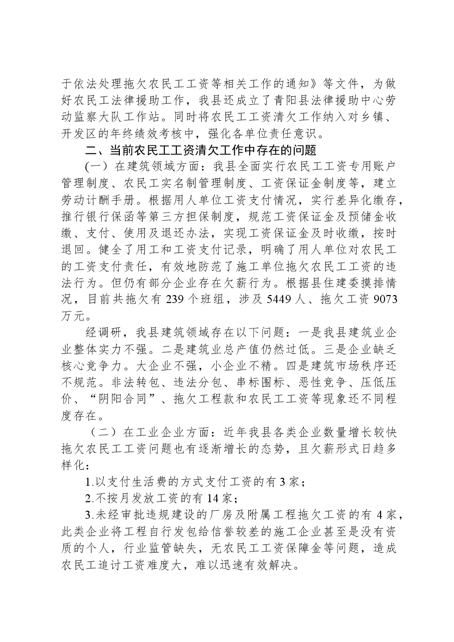 农民工工资支付保障工作总结.docx,第2页预览