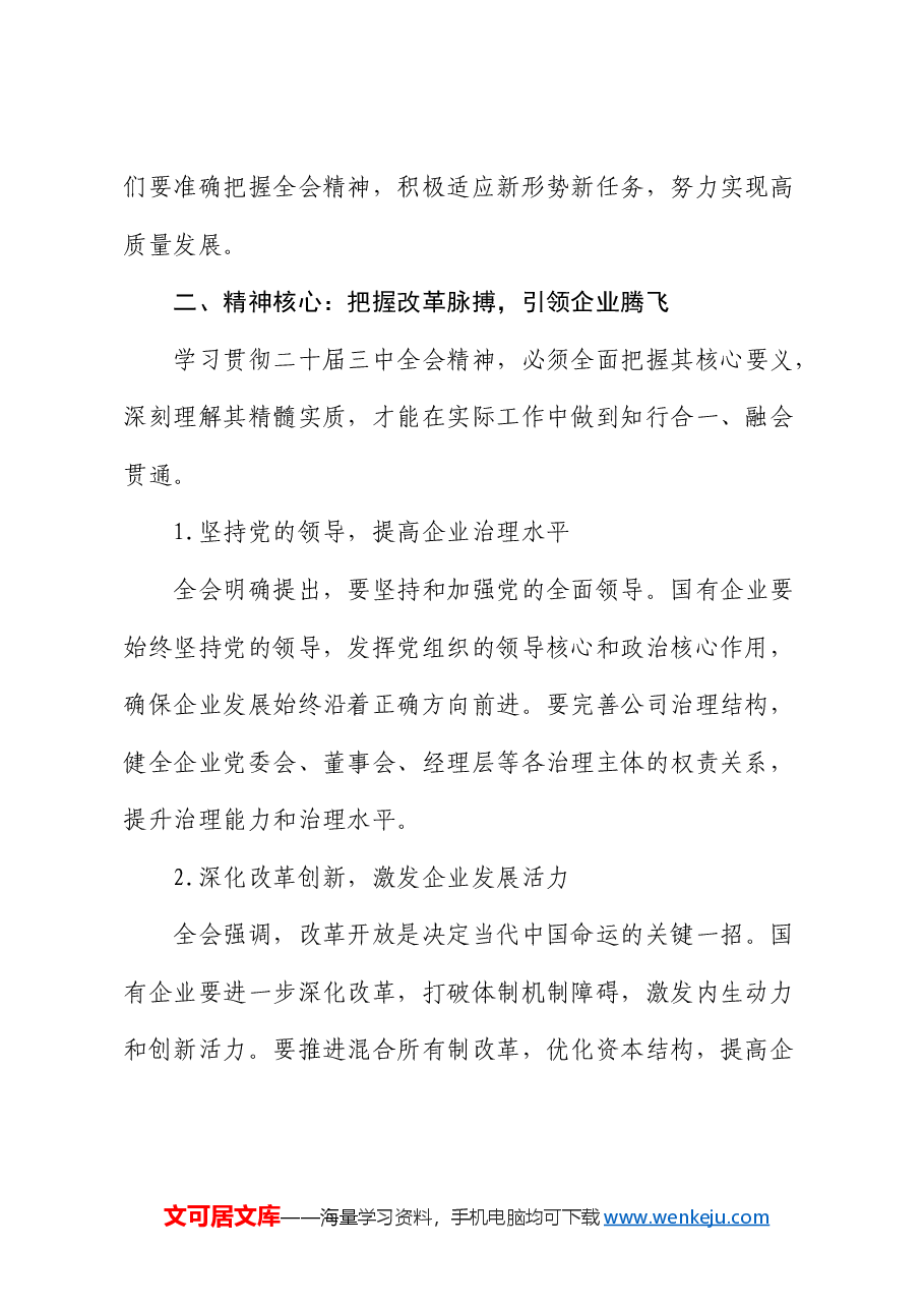 国企学习二十届三中全会精神研讨发言.docx，第2页预览