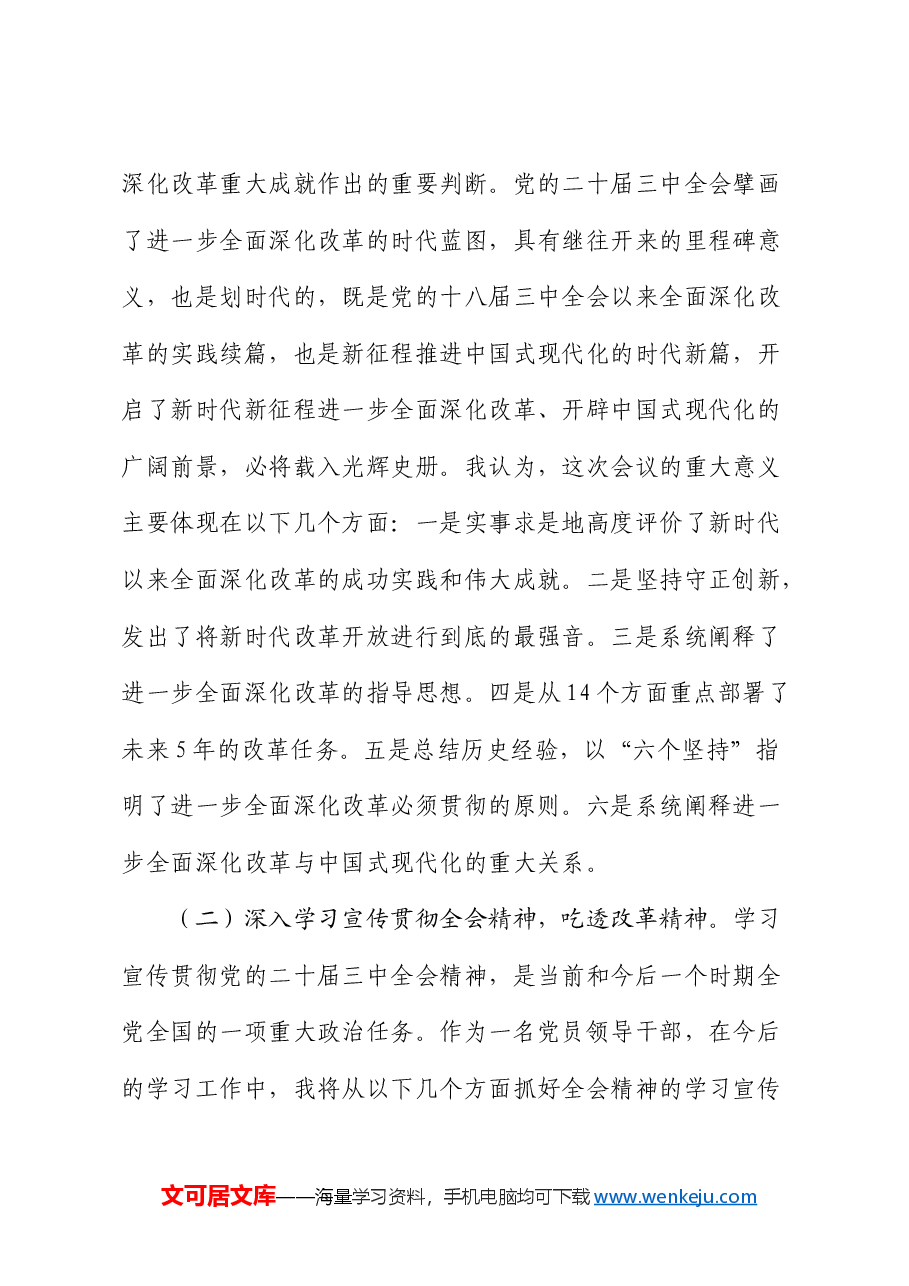 国企党委书记二十届三中全会研讨会上的发言.docx,第2页预览
