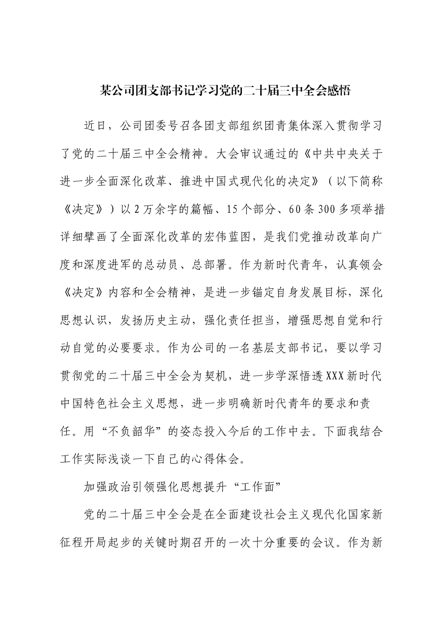 某公司团支部书记学习党的二十届三中全会感悟.docx,第1页预览