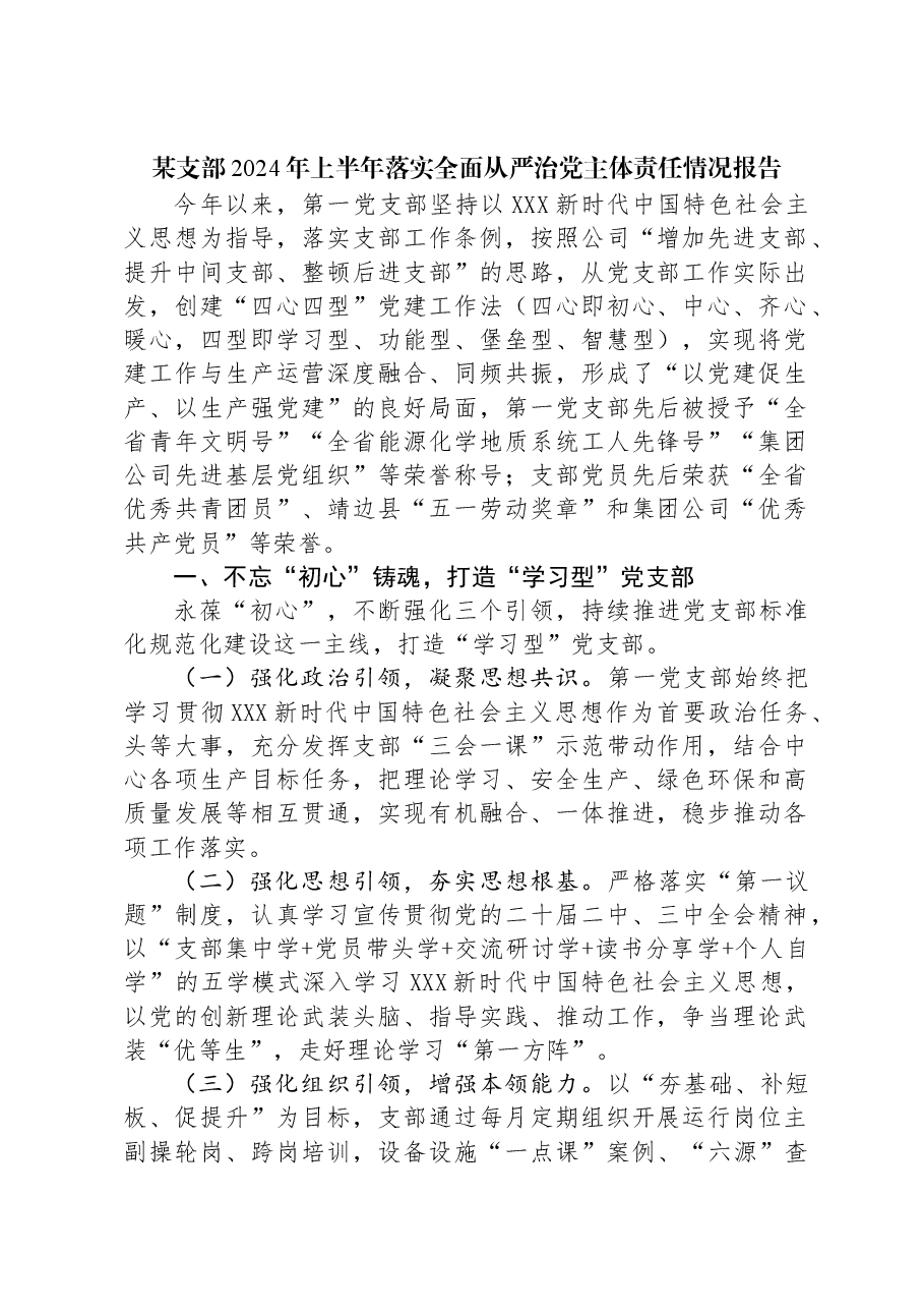 某支部2024年上半年落实全面从严治党主体责任情况报告.docx,第1页预览