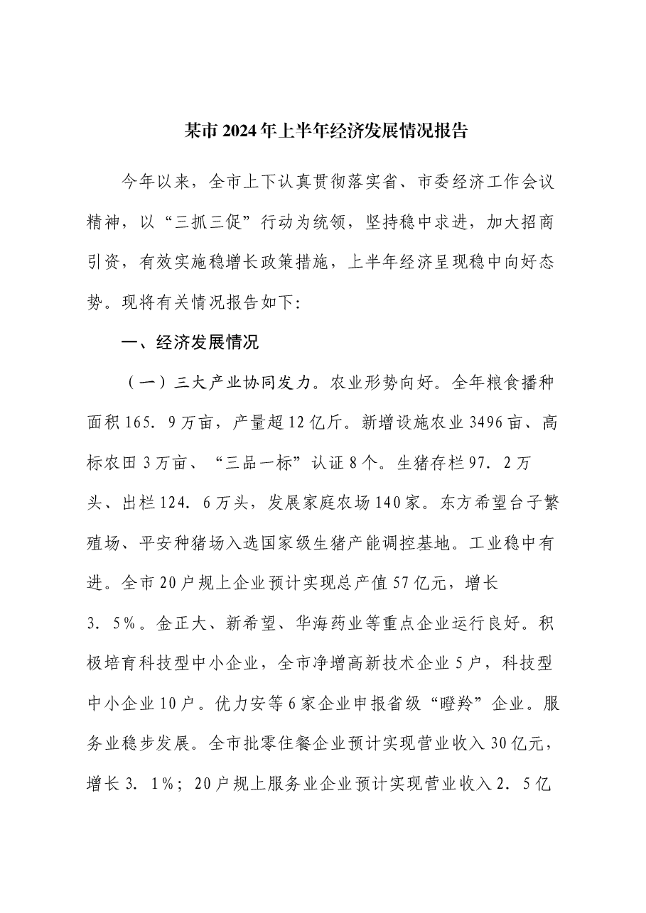 某市2024年上半年经济发展情况报告.docx,第1页预览