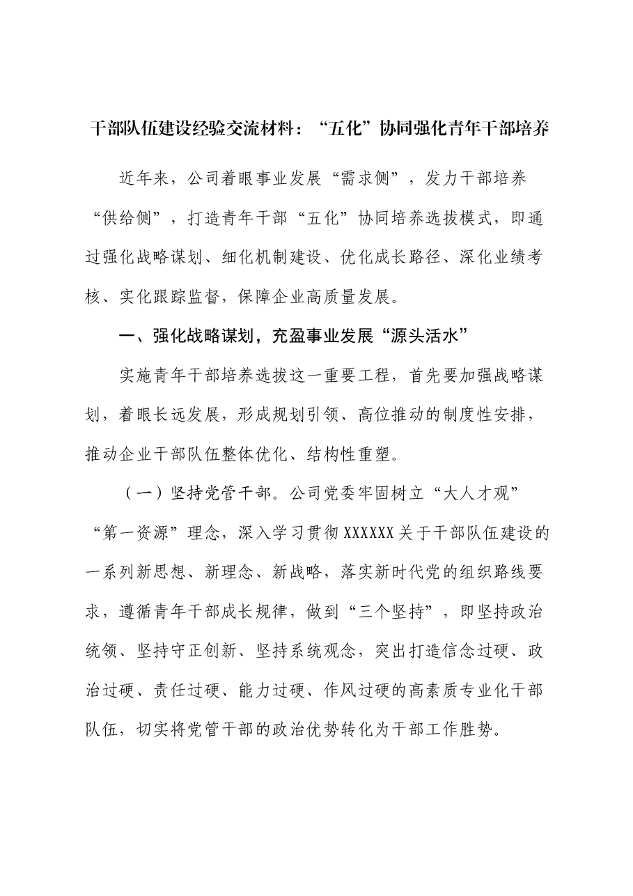国企干部队伍建设经验交流材料:“五化”协同强化青年干部培养.docx,第1页预览