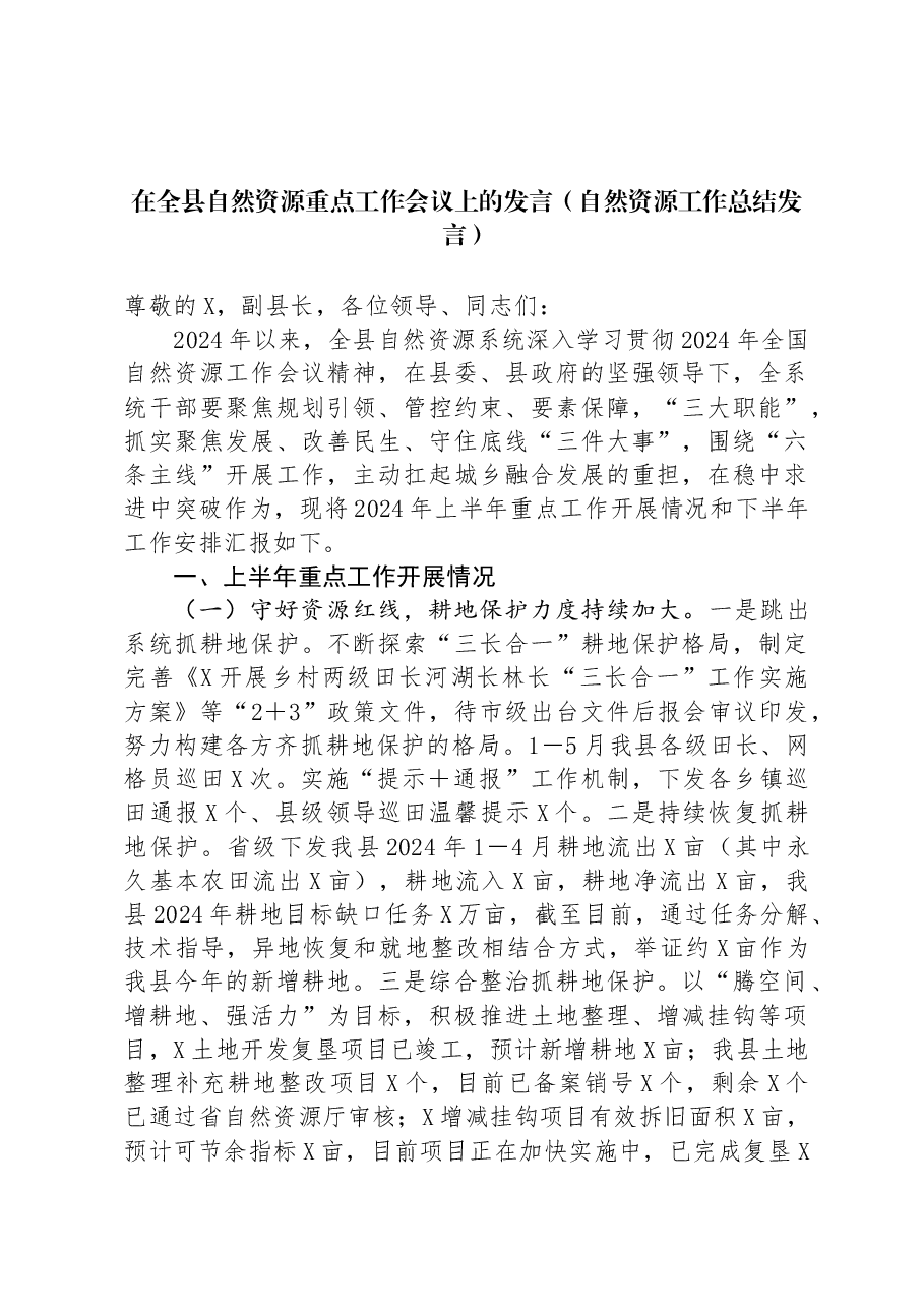 在全县自然资源重点工作会议上的发言(自然资源工作总结发言).docx,第1页预览