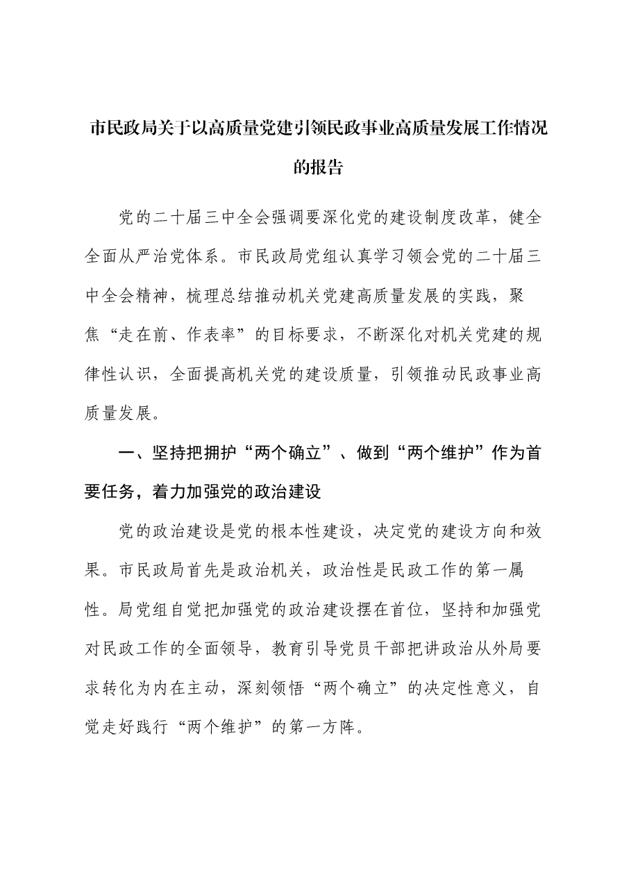 市民政局关于以高质量党建引领民政事业高质量发展工作情况的报告.docx，第1页预览
