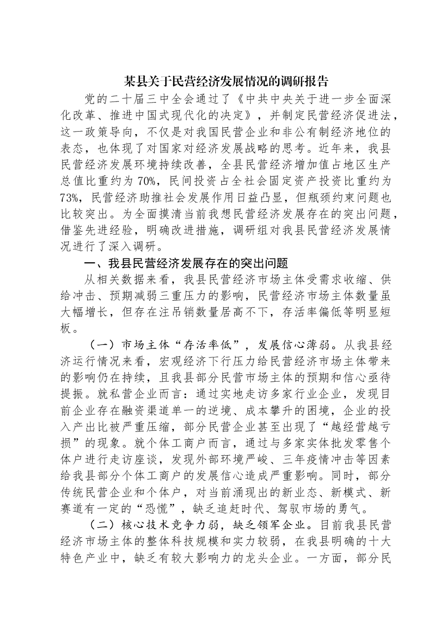 某县关于民营经济发展情况的调研报告.docx，第1页预览