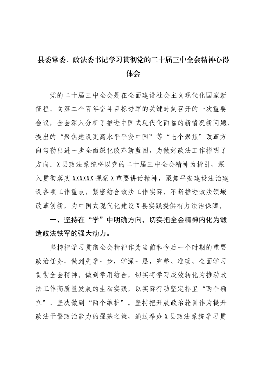 县委常委、政法委书记学习贯彻党的二十届三中全会精神心得体会.docx，第1页预览