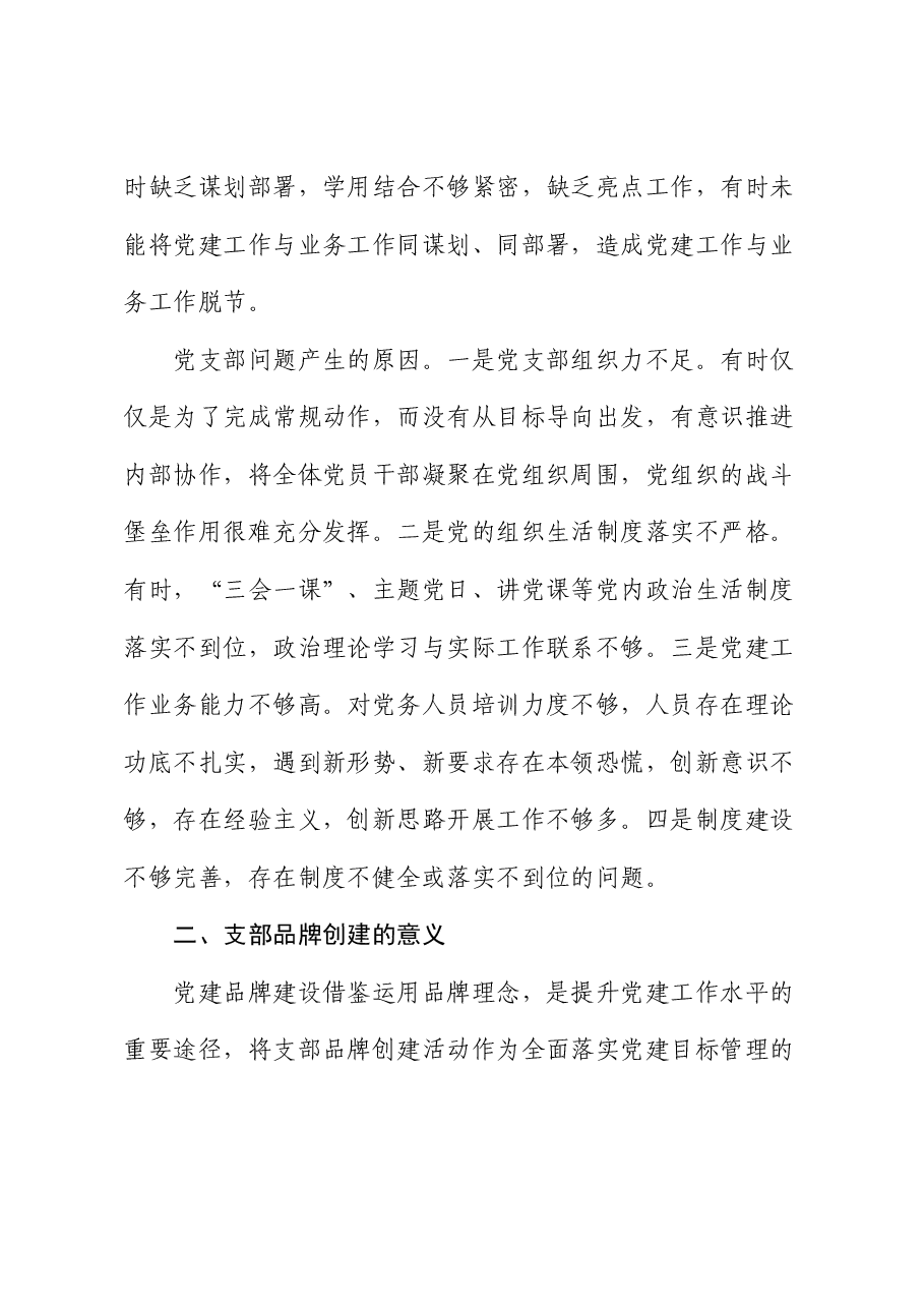 以支部品牌建设为抓手 提升党支部组织力的实践与思考(水利).docx,第3页预览