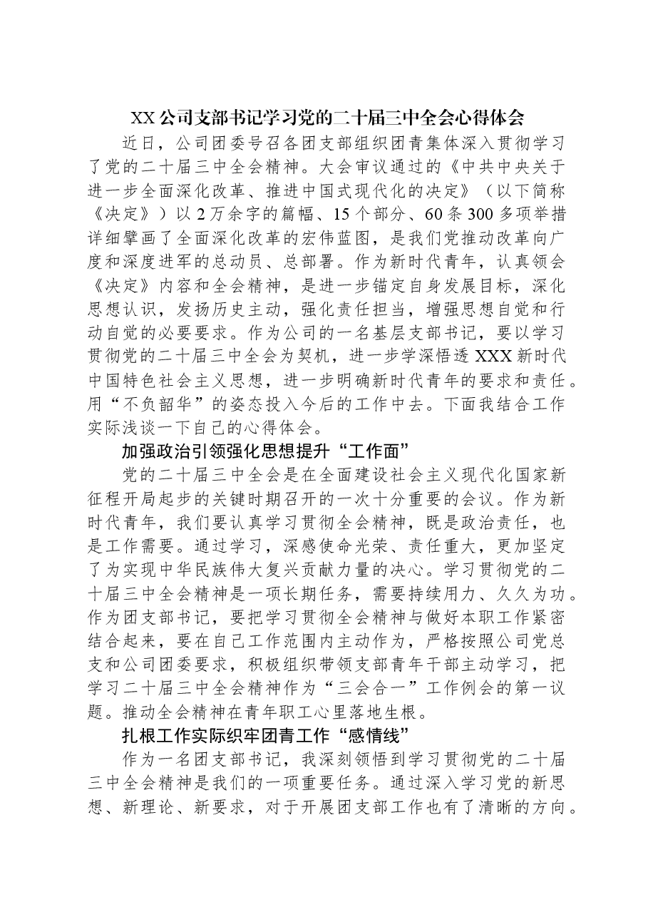XX公司支部书记学习党的二十届三中全会心得体会.docx,第1页预览