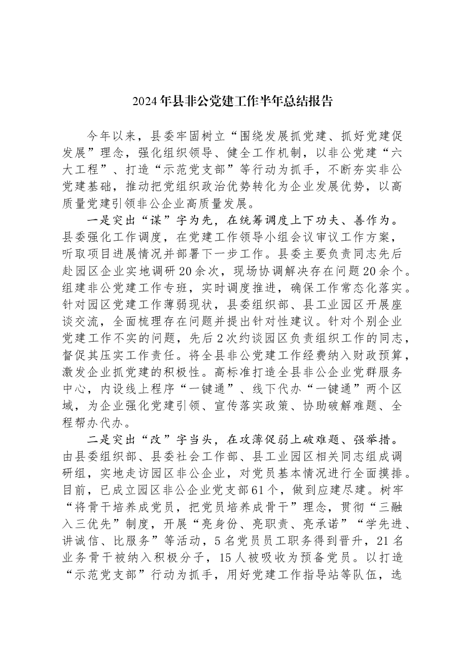 2024年县非公党建工作半年总结报告.docx，第1页预览